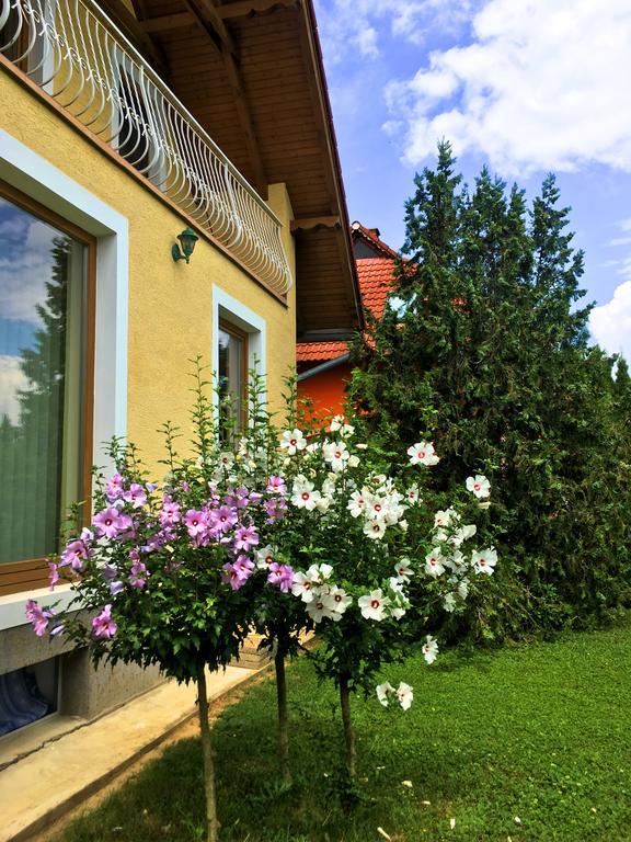 Petra Apartmanhaz Badacsonytomaj Exterior photo